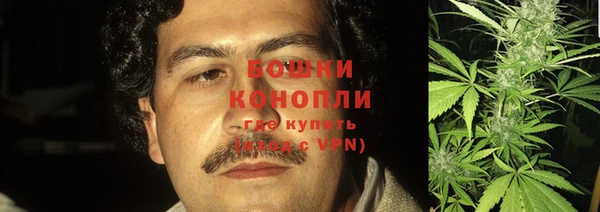 сатива Зерноград
