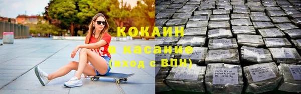 сатива Зерноград