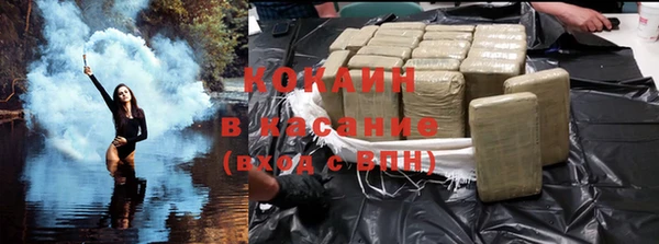 сатива Зерноград